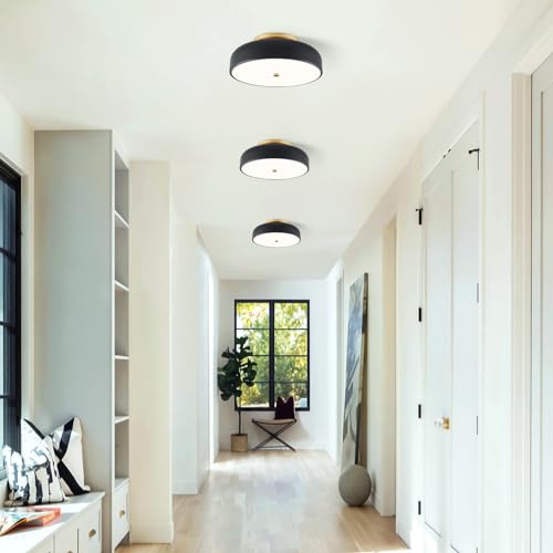 Dimmable LED Ceiling Light Fixture