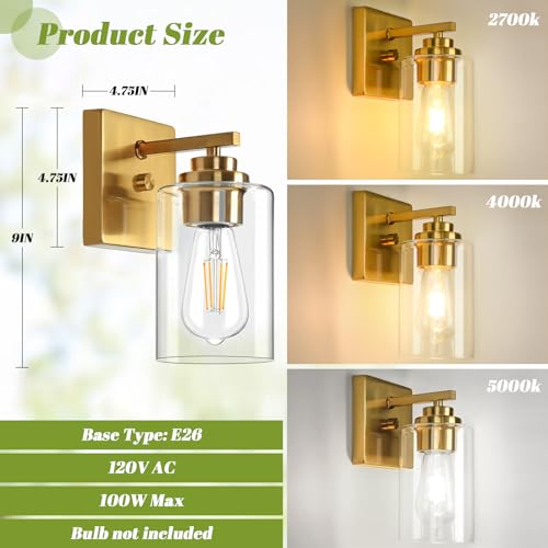 Modern Vanity Lights (2 Count)