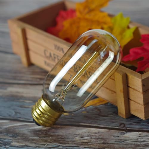 6 Pack Edison Light Bulbs 40 Watt Dimmable T45 Vintage Warm Bulbs (6 Count)