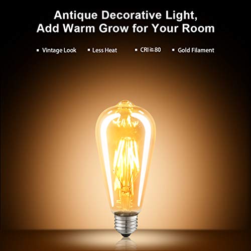 LED Edison Bulbs (6 Count)