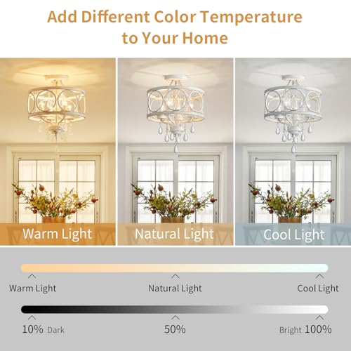 Crystal Ceiling Light Fixture