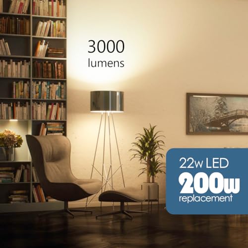 200 Watt Equivalent LED Bulb (4 Count)