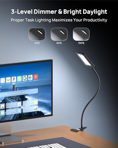 LED Desk Lamp with Clamp