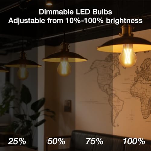 6 Pack A19 Vintage LED Edison Bulbs (6 Count)