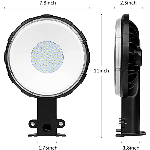 100W LED Barn Light with 10KLM 5000K Daylight