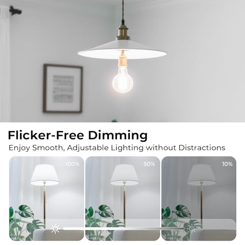 A19 E26 Edison Bulbs 60 watt Equivalent (6 Count)