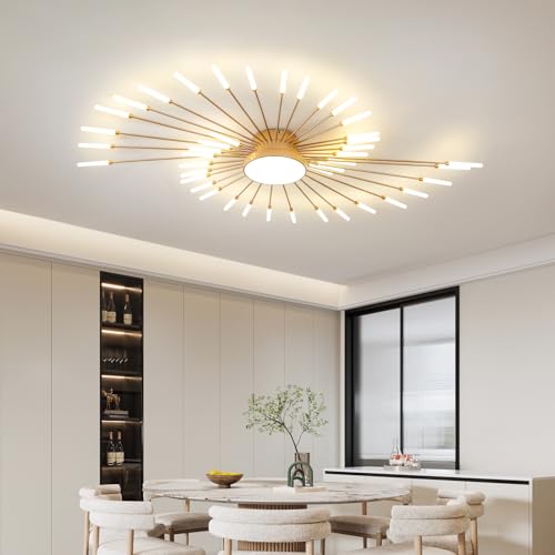 Modern Ceiling Light
