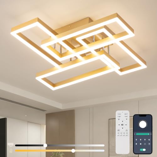 Modern Led Ceiling Light for Living Room