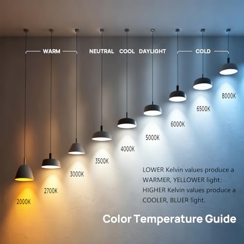 Dimmable A19 LED Light Bulbs (24 Count)