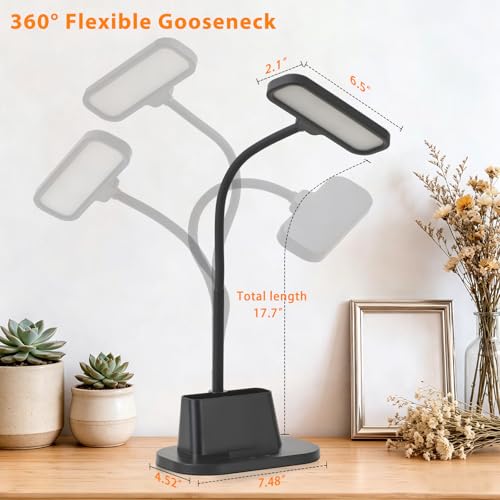 LED Desk Lamp for Dorm Small Desk Lamp with Pen Holder 5 Color Modes Black (Black)