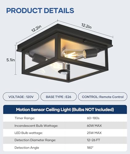 Motion Sensor Outdoor Ceiling Light with Remote