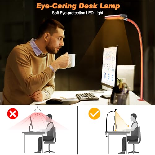 LED Desk Lamp with Clamp
