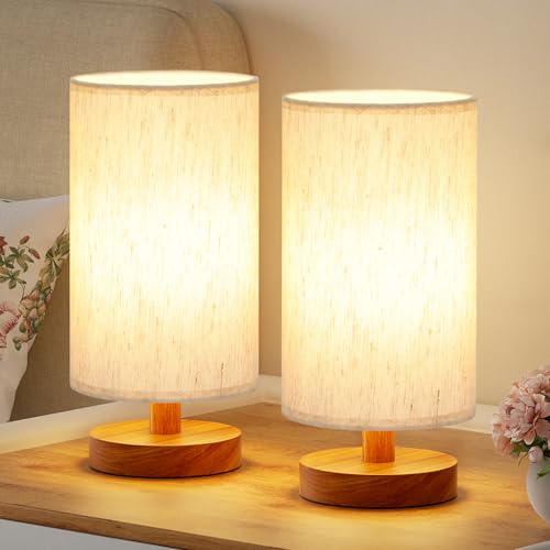 Desk Small Lamps Set of 2 (2 Count)