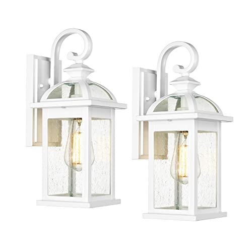 Outdoor Lights Fixtures Wall Mount (2 Count)