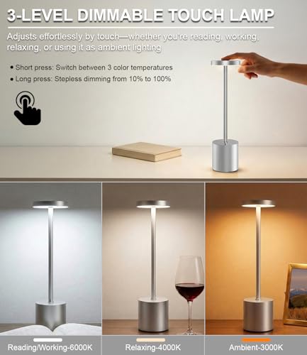 Silver Cordless Table Lamp Rechargeable (2 Count)