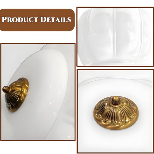 Modern Semi Flush Mount Ceiling Light