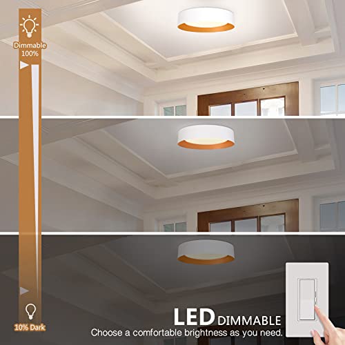 16.5" Flush Mount Ceiling Light