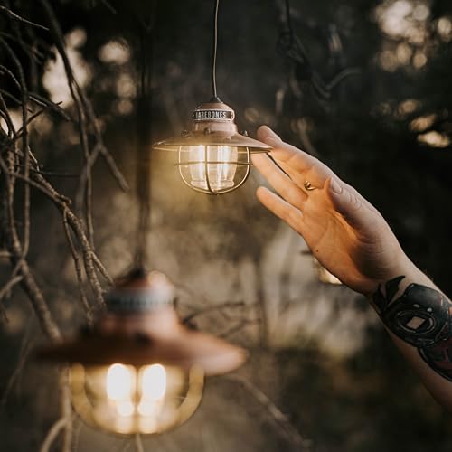 Edison Pendant String Lights