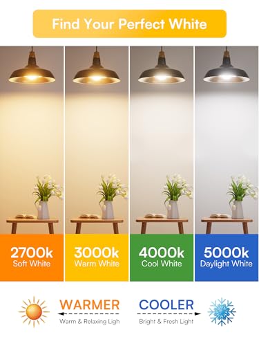 Dimmable LED Light Bulbs 40W Eq (6 Count)