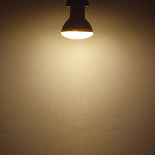 BR20 LED Light Bulb
