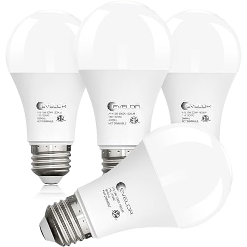 A19 LED Light Bulbs (4 Count)