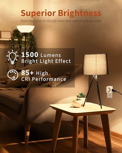 LED Light Bulbs (12 Count)