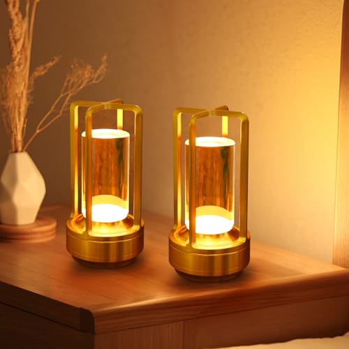 2 Pack Cordless Table Lamps (2 Count)