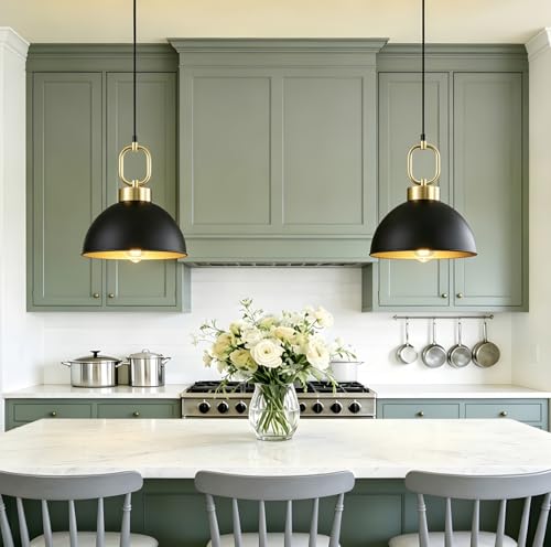 2 Pack Black Pendant Lights Kitchen Island (2 Count)