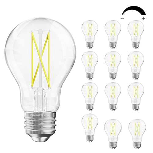 12 Pack A19 Vintage LED Edison Bulbs (12 Count)