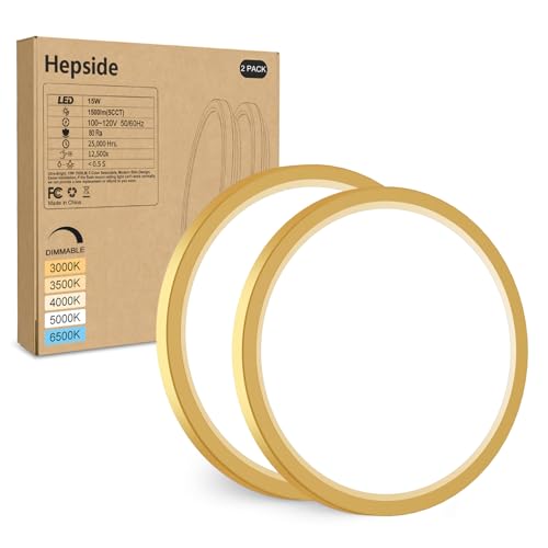 2Pack LED Flush Mount Ceiling Light Fixture Golden