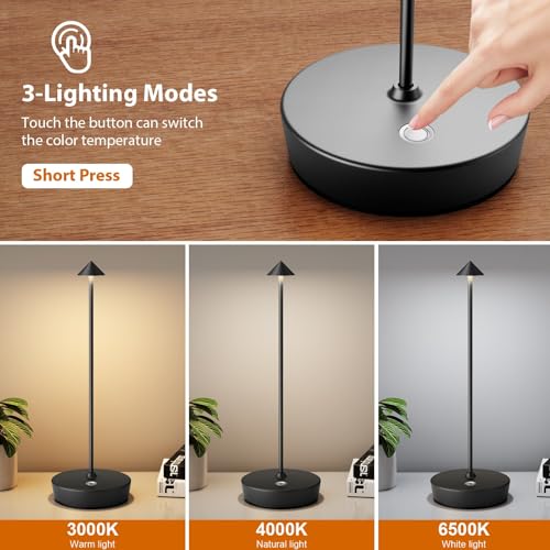 LED Cordless Rechargeable Table Lamps (2 Count)
