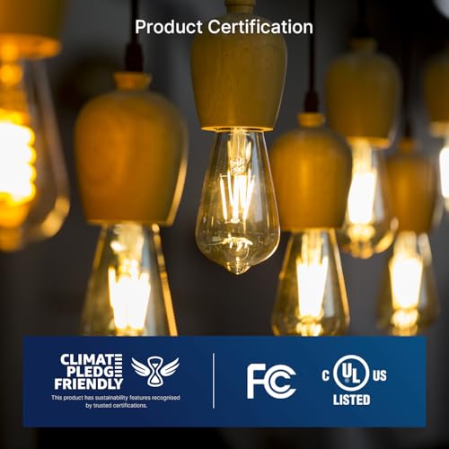 7W LED Edison Bulbs (6 Count)