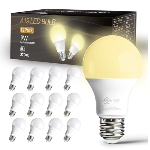 12 Pack A19 LED Bulbs (12 Count)