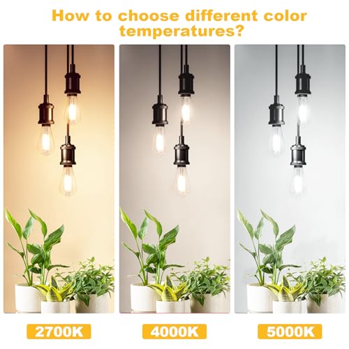 Vintage LED Edison Bulbs 60W Equivalent (4 Count)