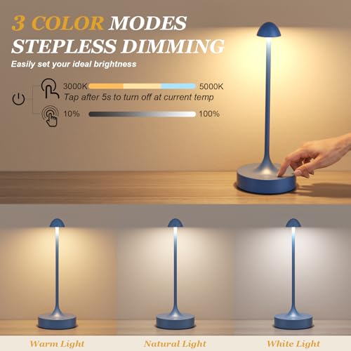Rechargeable Cordless Table Lamp (2 Count)