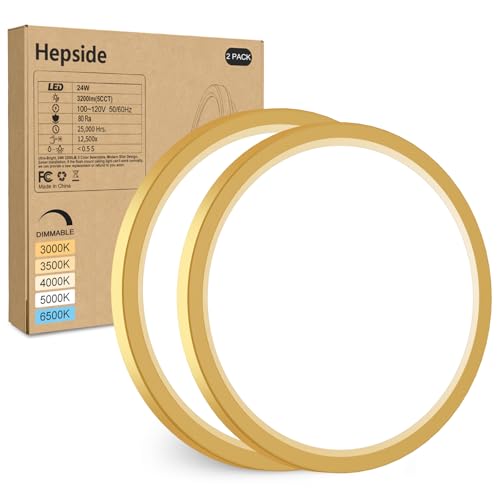 2Pack LED Flush Mount Ceiling Light Fixture Golden