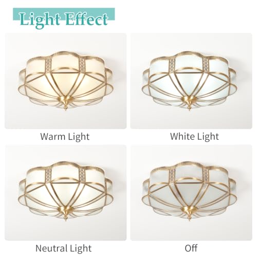 Brass Flush Mount Ceiling Light