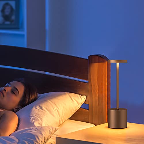 LED Cordless Table Lamps Set of 2