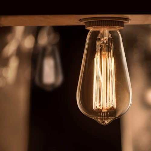 8 Pack Edison Bulbs (8 Count)