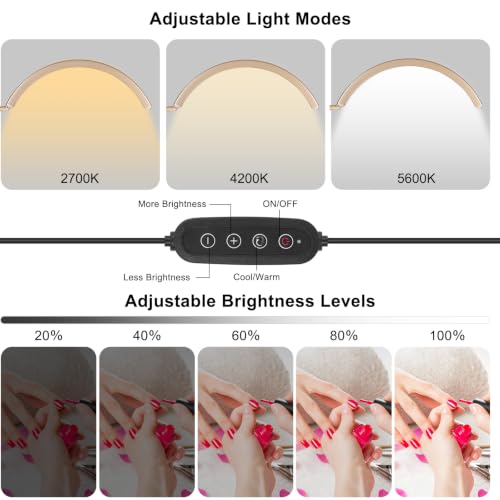 Professional Half Moon LED Desk Light for Nail Techs & Artists
