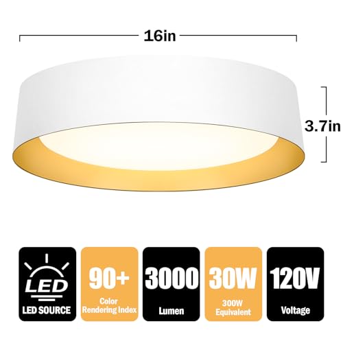 Flush Mount Ceiling Light (2 Count)