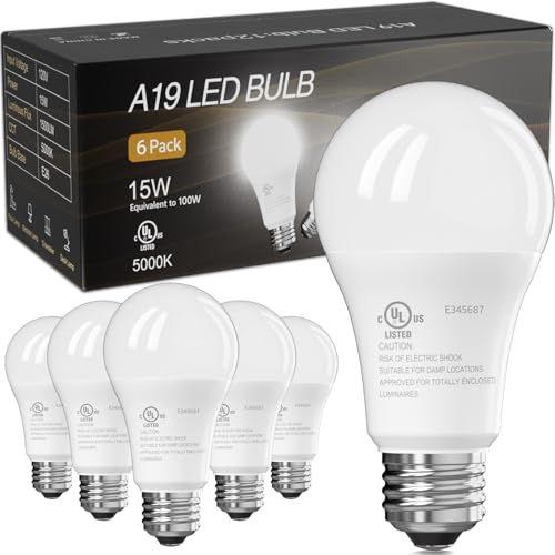 LED Light Bulbs (6 Count)