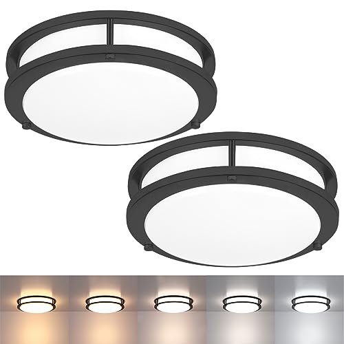 2 Pack Black Ceiling Light (2 Count)