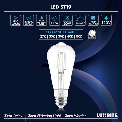 Vintage ST19 LED Light Bulb 60 Watt Equivalent (4 Count)