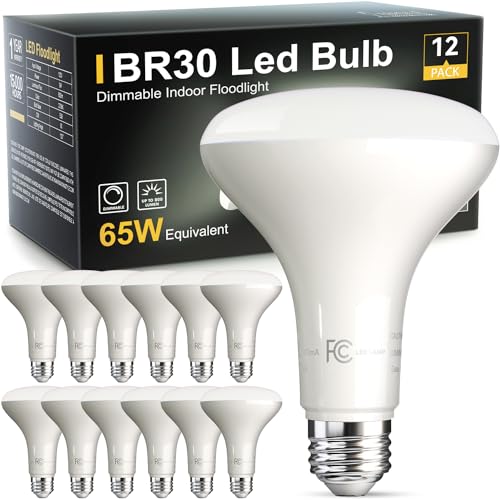 12 Pack BR30 Flood Light Bulb Indoor (12 Count)
