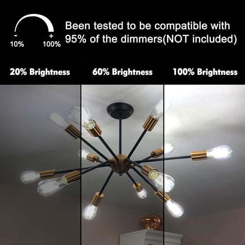 12 Pack Edison LED Light Bulbs (12 Count)