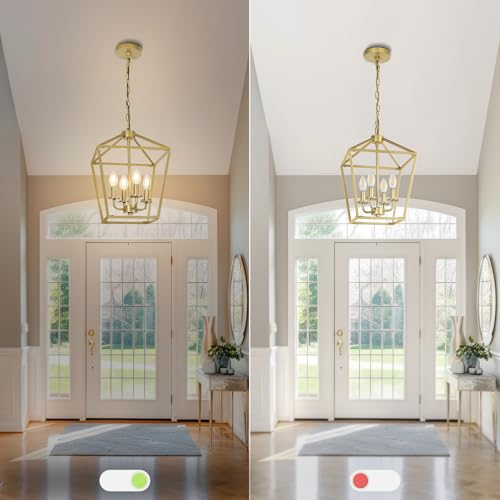 4 Light Gold Chandelier (4 Count)