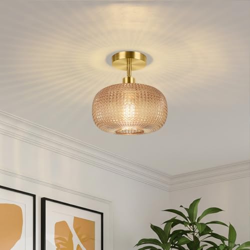 Semi Flush Mount Ceiling Light