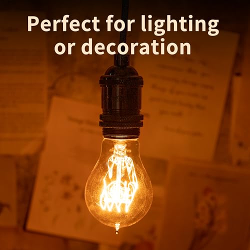Warm Incandescent Light Bulbs 60 Watt (6 Count)