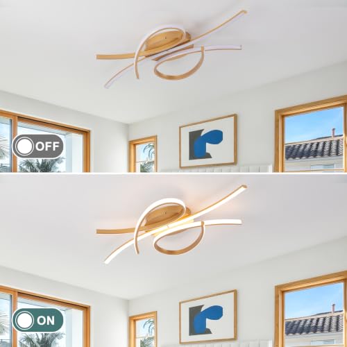 Modern LED Ceiling Light Fixture